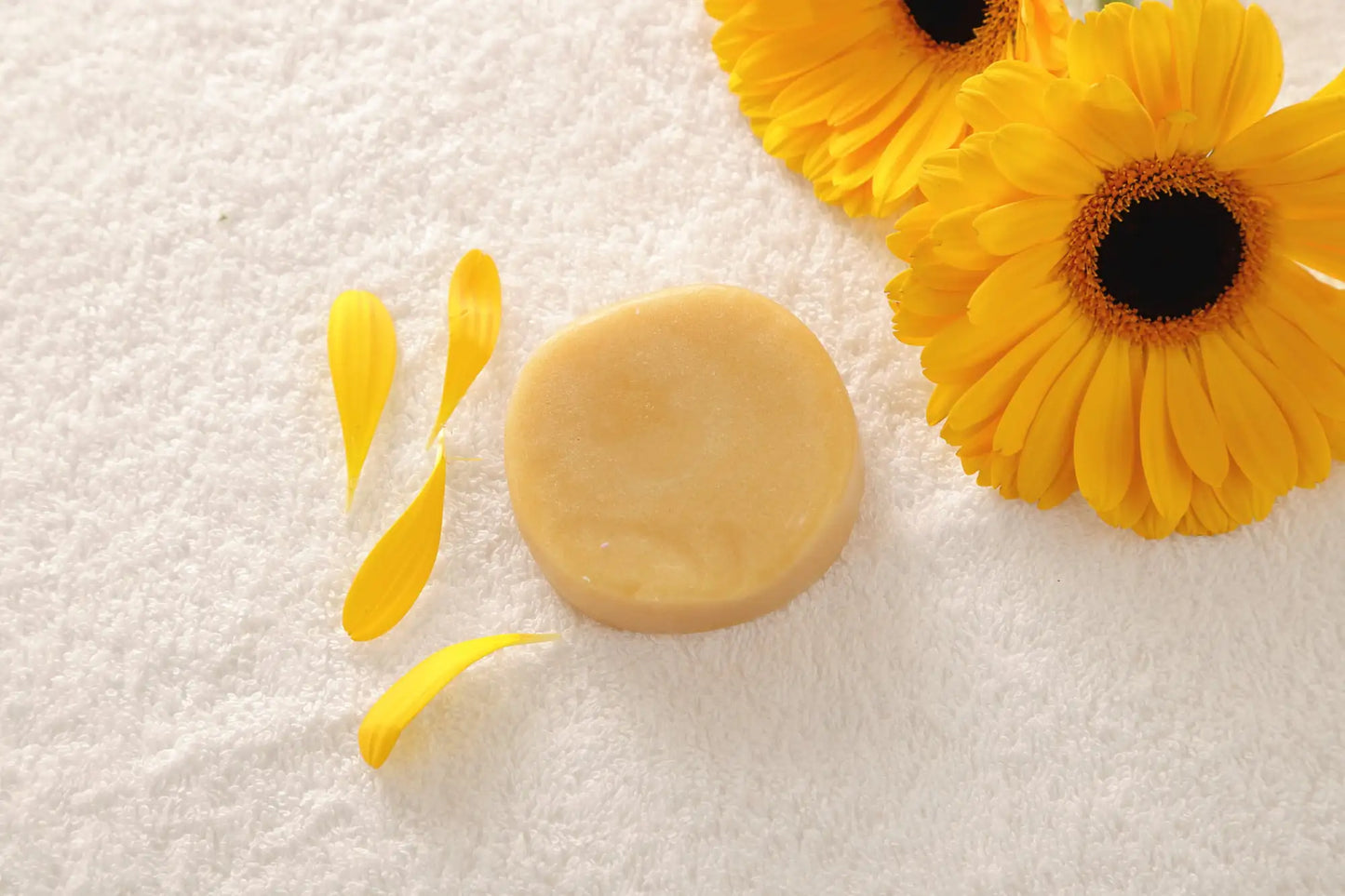 All-Natural Conditioner Bar. Citrus. Eco-Friendly.