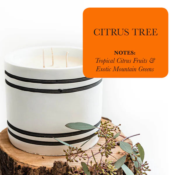 Luxury Large Striped Stone Designer Candle - Citrus Tree